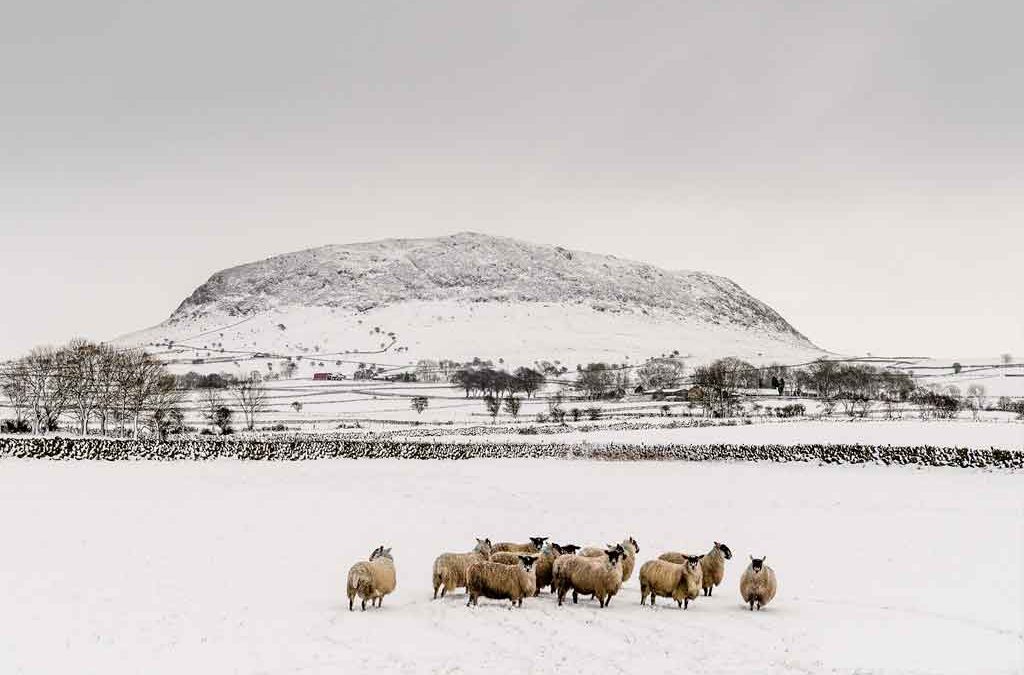 Slemish